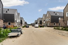 08_Moerasorchidee 31 - Lelystad.jpg